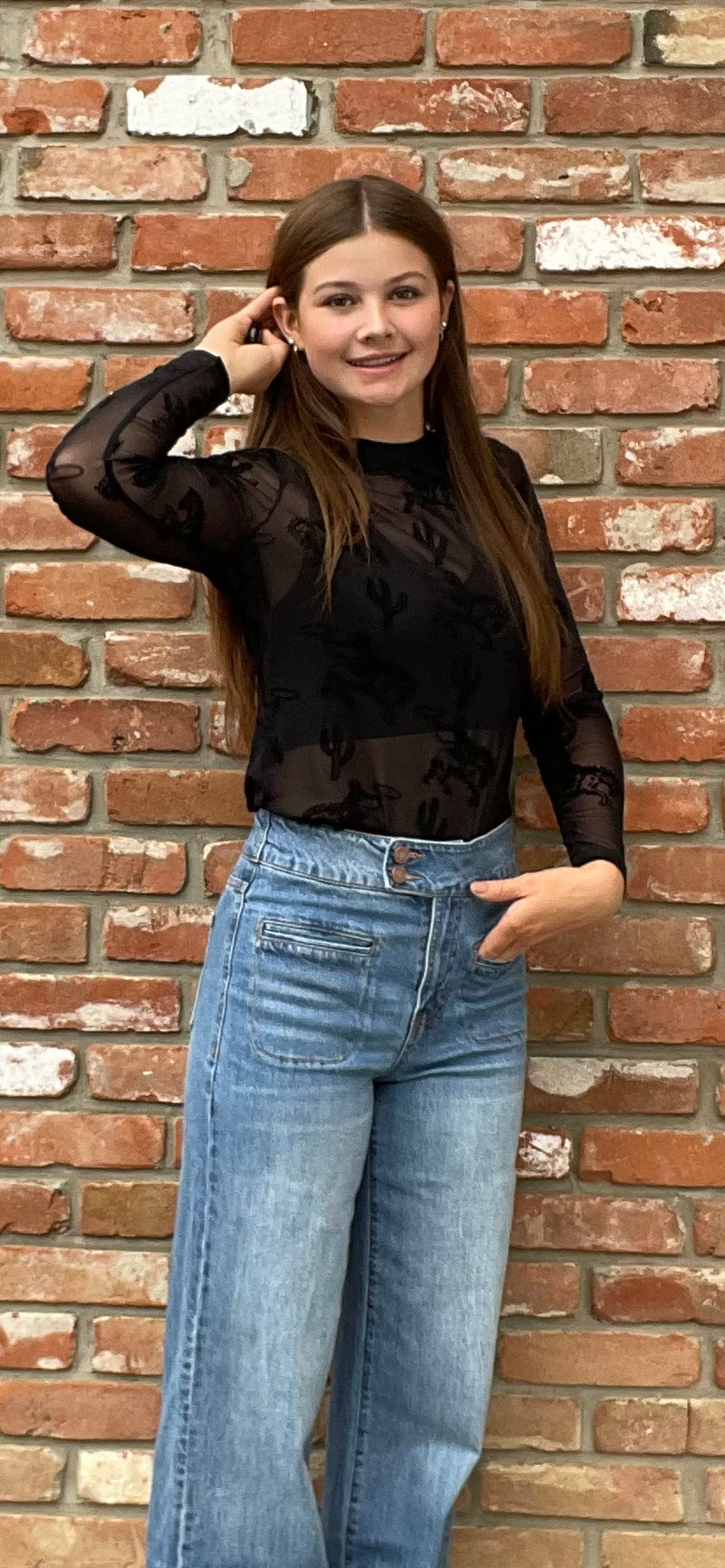 Western Printed Mesh Top